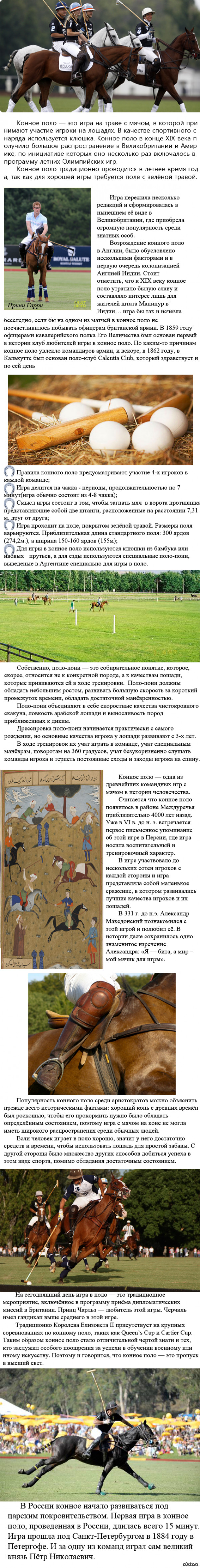 Вкратце об игре в поло.