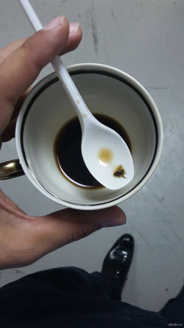 Муха ну реально задолбала