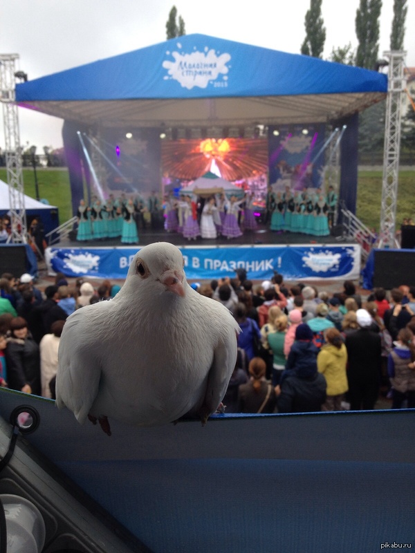 "������"