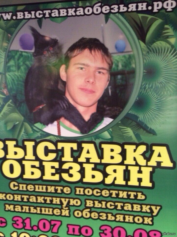 Выставка обезьян.