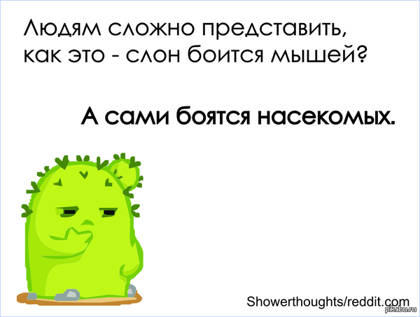 ����� ������� �������� � ������ � ����.