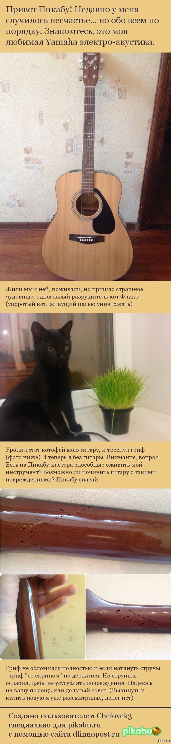 ������ ����� ����!