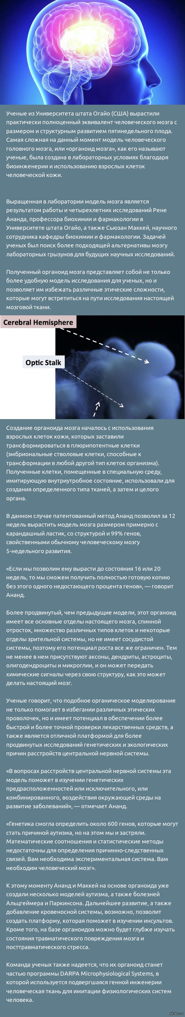 ������ ������� ����� ������� �� ����������� ������ ������ ������������� �����