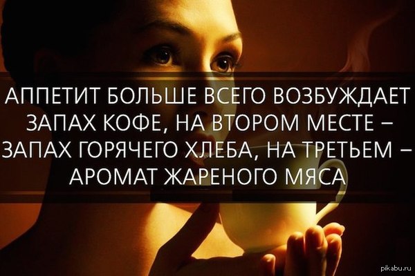 Так вот почему мы в детстве приносили домой обкусанный хлеб