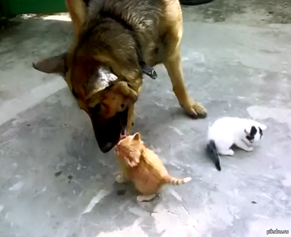 ������� � ���, ��� ������� ��� ������