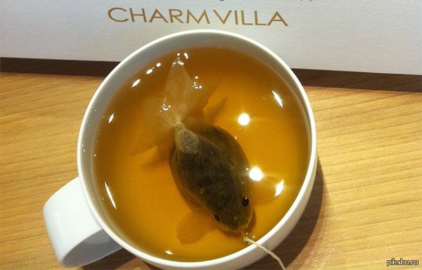 Today I caught such a crucian in a cup - Fishing, Tea, A fish