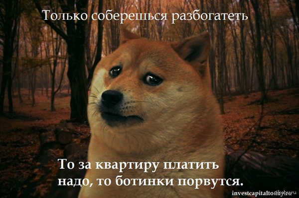 ������� ������, �� ��� �� ������ � ���� ��� ����� ������������� ������ � ���� ���������