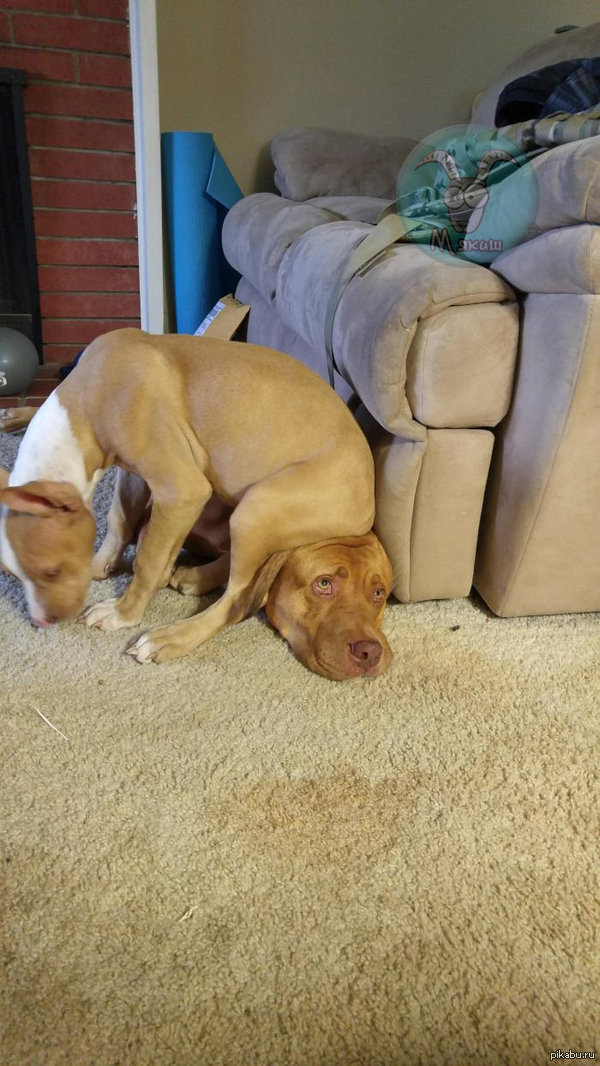 Личного пространства пост