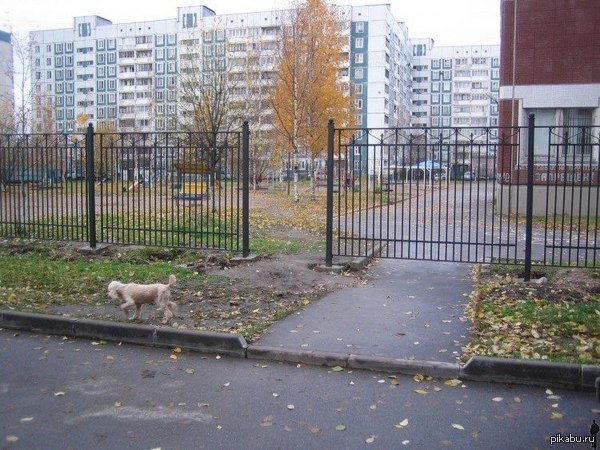 Guess the country from the photo. - My, Russia, And so it will do, Fence