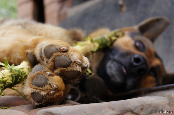 ��� ������,����� �� �� ��� ��������������