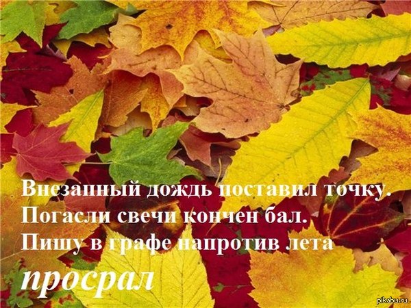 Осень. Просто осень