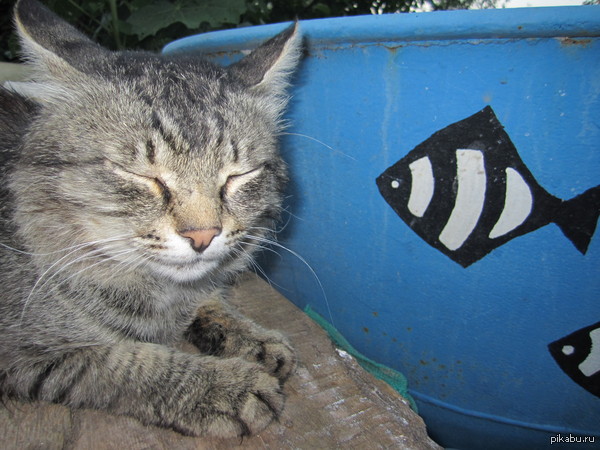 ���� ������ �����������,�� ��� ����� ���� ��������