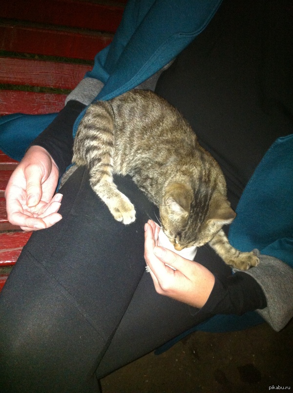  ((( , .  , 2    ,  ,    