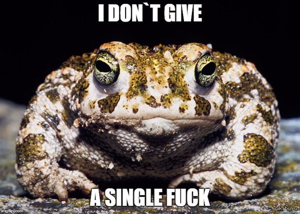 ������ �������� ������ �������...