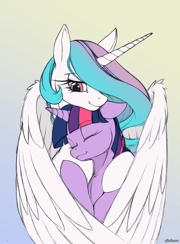     / 