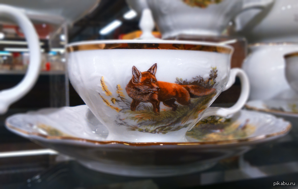 �������� ��������