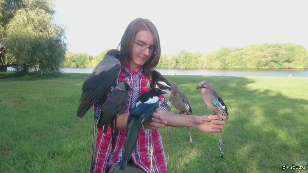 ���� ����� �� ������