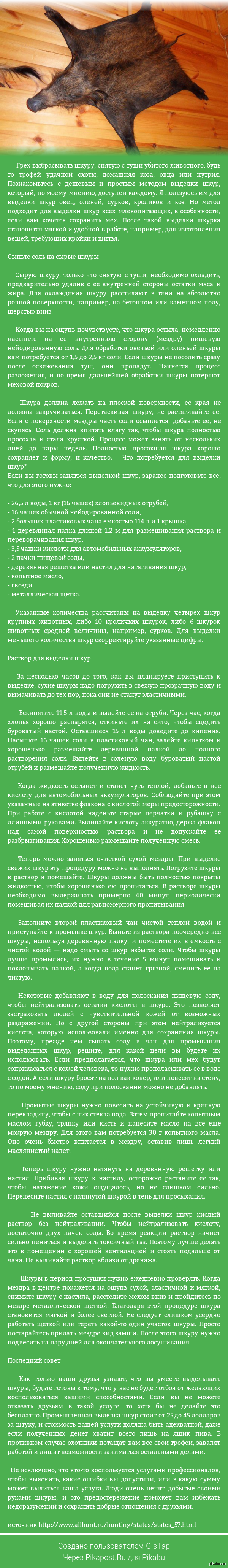 Выделка шкур: истории из жизни, советы, новости, юмор и картинки — Все  посты | Пикабу