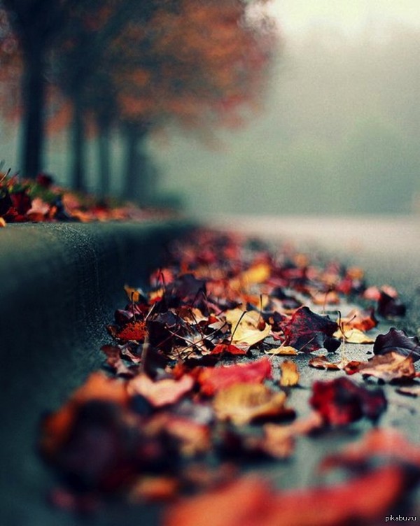 Autumn Inspiration 