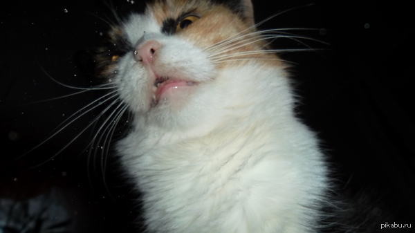 ��� ������ � ��� ������, ����� � ����� ��� ����������������.