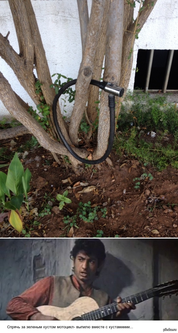 �� ������� �����.