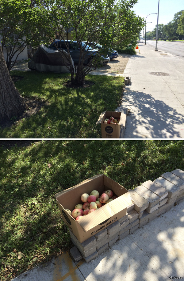 -     ,      .    :)