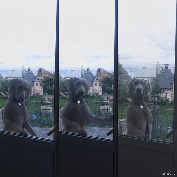 Смекнула, что нужно повернуть ручку... но с другой стороны) YOU SHALL NOT PASS пока я завтракаю)