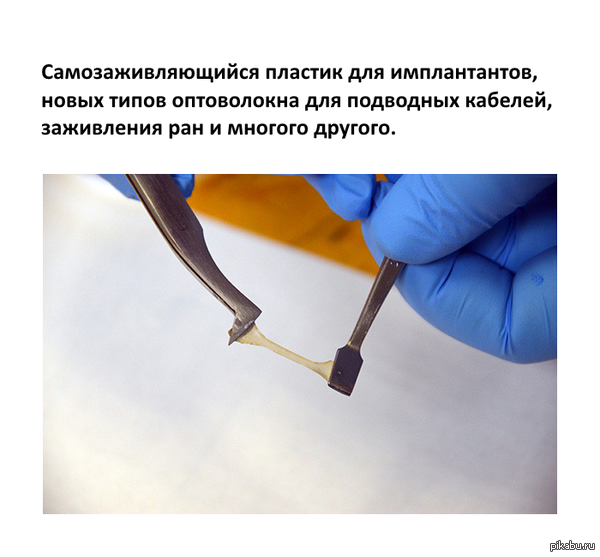 Ученые получили из зубов кальмара пластик, способный самовосстанавливаться с помощью капли воды!