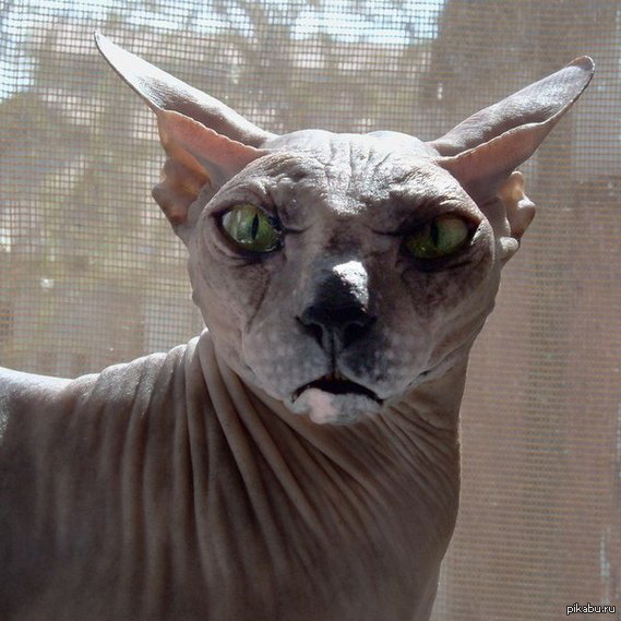 - � ����? ���� �������!