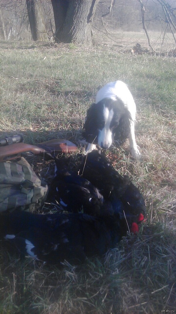 ����� � ������� ���������