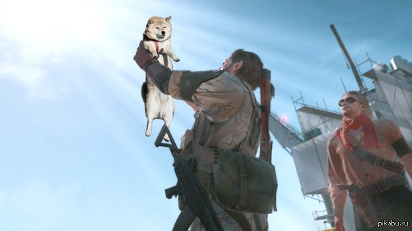 Metal Gear Doge 