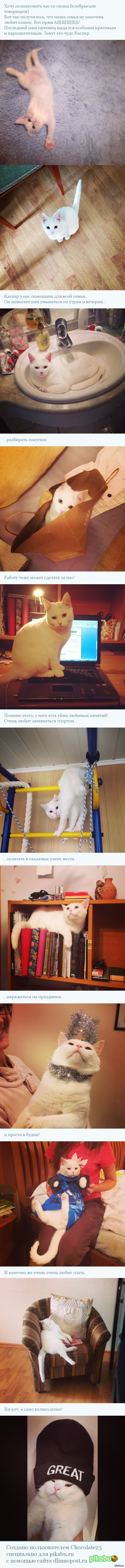 �����������, ������!