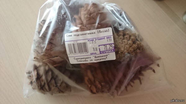 ������� ����� �������