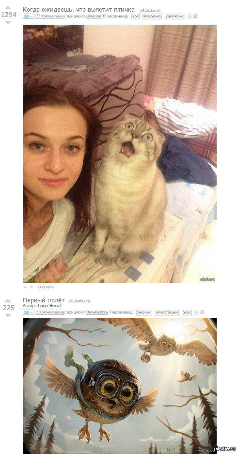 �������� �������� ���� �����