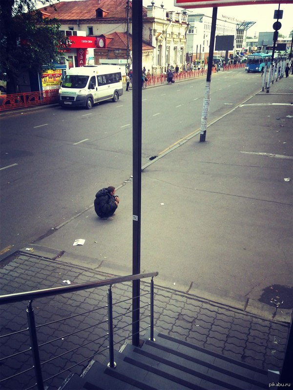 Иркутский голубь