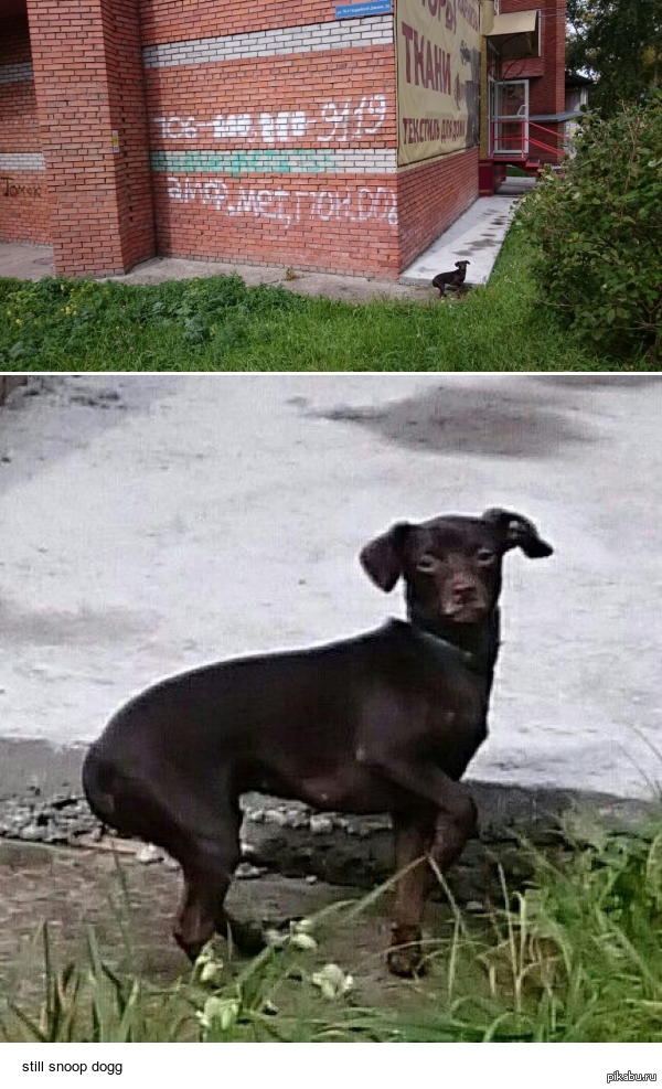 ��� ��� ����-�� ����������...