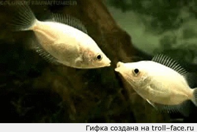  )