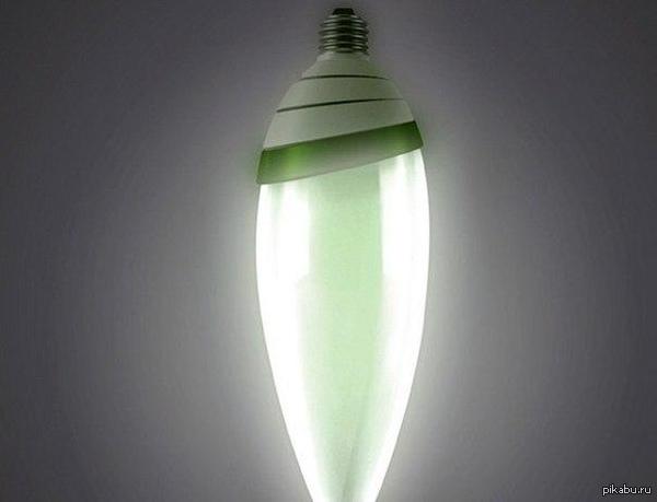  Algaebulb     ,      ,   .