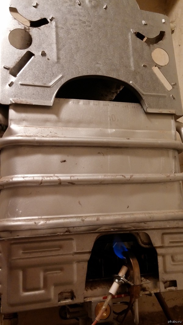 ������, ����