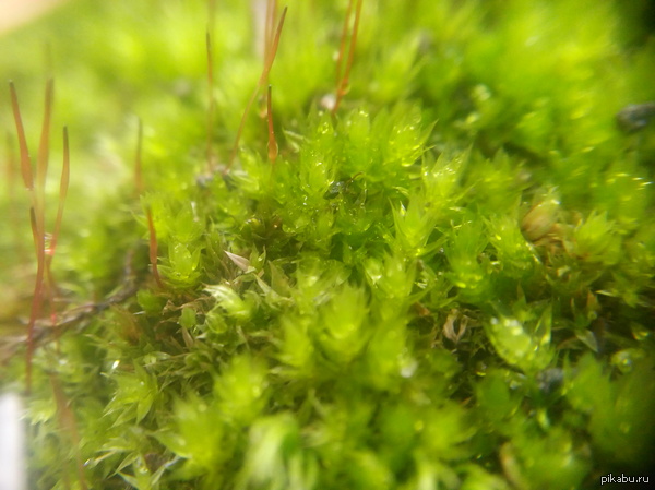 ��� �������� ��� � �����