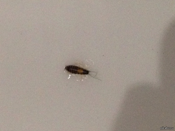 ������, �������� ���������� ��� ���?!  �� ����� ������� �� �����, ��������� � ������������, ������  �� ���� �����!