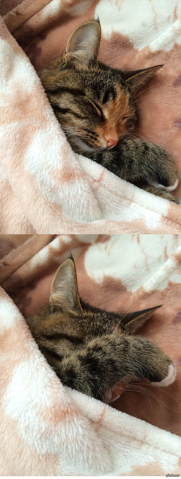 Выключите свет!