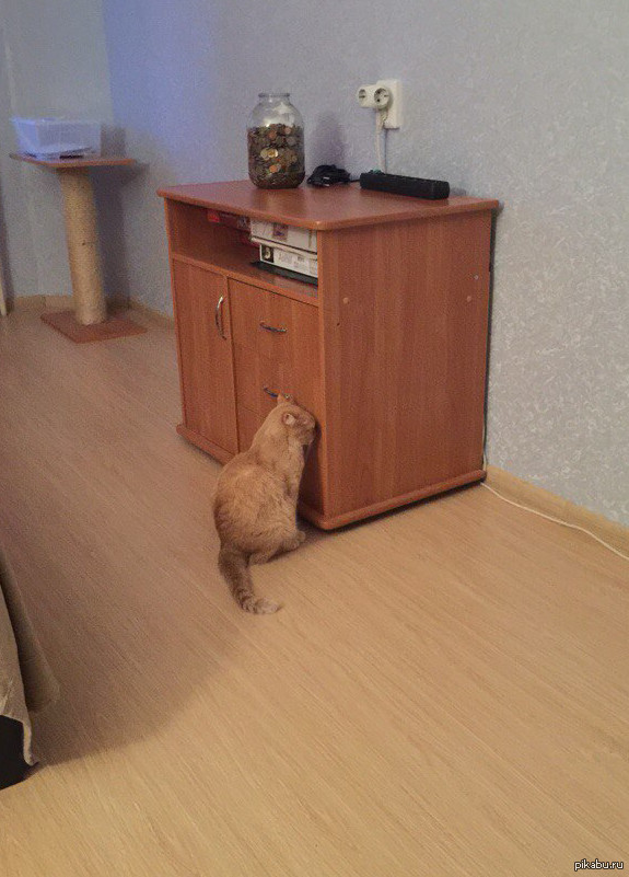 ��� �������, ��� ��� ����� ����-���� ���������