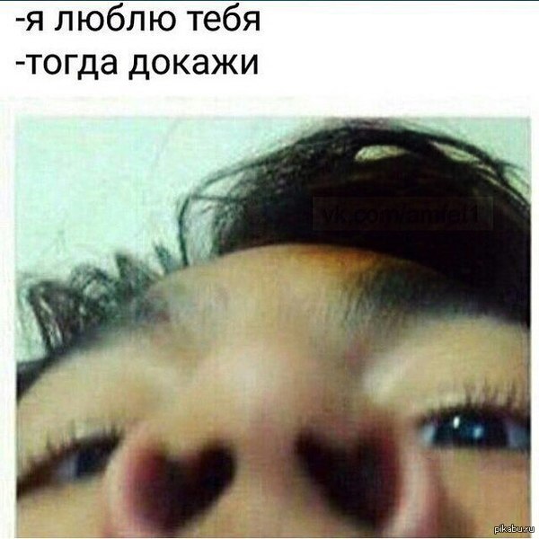 ����� ������ �� �������