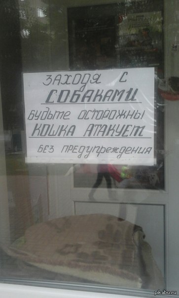 ������� �� ����� �����������.