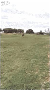 &quot;   &quot; 