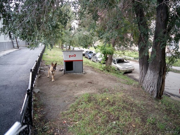 ����� ��������� �������� ����������, ���.