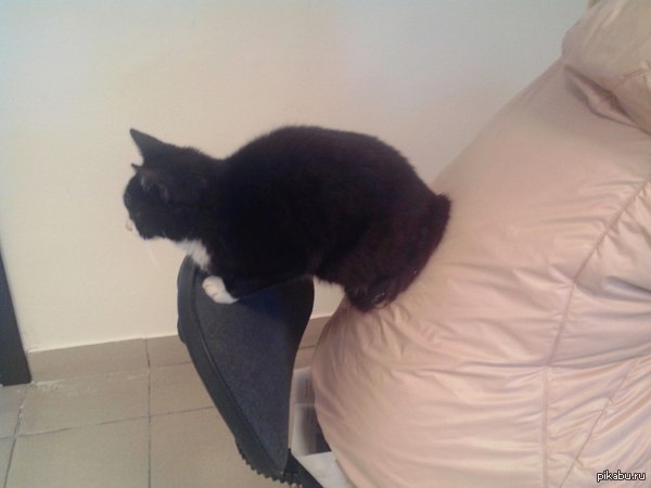 ������ ��� � ����