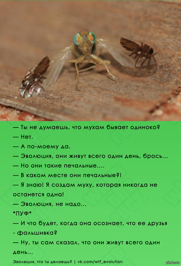 ,     <a href="http://pikabu.ru/story/khitraya_i_derzkaya_3623097">http://pikabu.ru/story/_3623097</a>