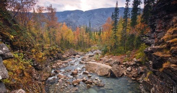 реки хибин. реки хибин. горная река хибины. хибины кольский полуостров природа. река муна мурманская область.